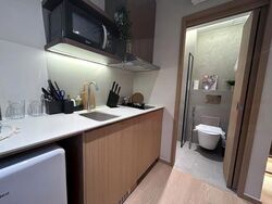 Mount Elizabeth Link (D9), Apartment #466088921